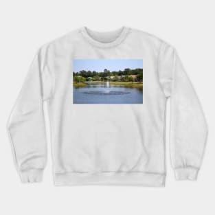 Beautiful Retention Pond Crewneck Sweatshirt